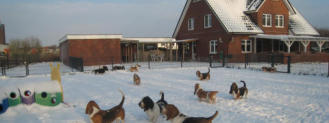 Basset Winter