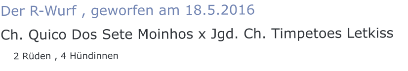 Der R-Wurf , geworfen am 18.5.2016 Ch. Quico Dos Sete Moinhos x Jgd. Ch. Timpetoes Letkiss    2 Rüden , 4 Hündinnen