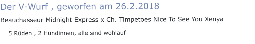 Der V-Wurf , geworfen am 26.2.2018  Beauchasseur Midnight Express x Ch. Timpetoes Nice To See You Xenya    5 Rüden , 2 Hündinnen, alle sind wohlauf