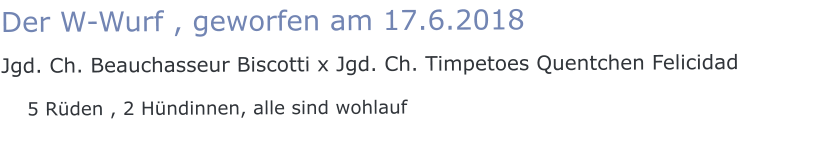 Der W-Wurf , geworfen am 17.6.2018  Jgd. Ch. Beauchasseur Biscotti x Jgd. Ch. Timpetoes Quentchen Felicidad    5 Rüden , 2 Hündinnen, alle sind wohlauf