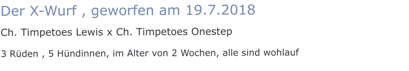 Der X-Wurf , geworfen am 19.7.2018  Ch. Timpetoes Lewis x Ch. Timpetoes Onestep 3 Rüden , 5 Hündinnen, im Alter von 2 Wochen, alle sind wohlauf