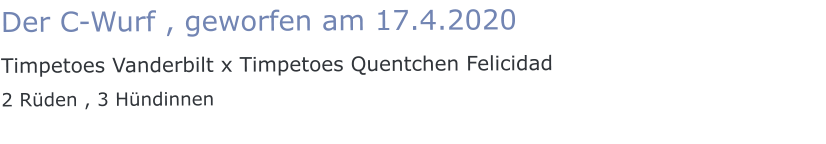 Der C-Wurf , geworfen am 17.4.2020 Timpetoes Vanderbilt x Timpetoes Quentchen Felicidad 2 Rüden , 3 Hündinnen