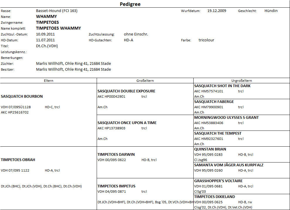 Basset Pedigree