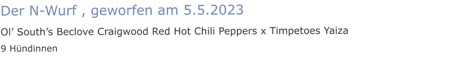 Der N-Wurf , geworfen am 5.5.2023 Ol’ South’s Beclove Craigwood Red Hot Chili Peppers x Timpetoes Yaiza 9 Hündinnen